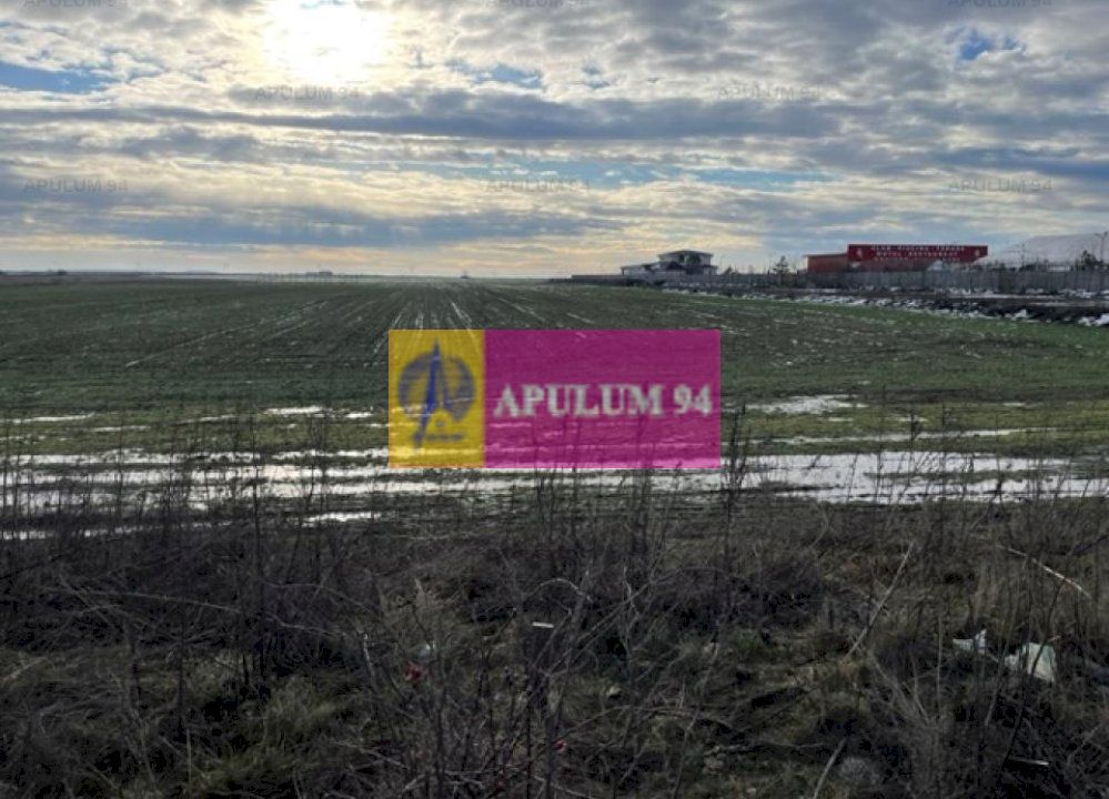 Teren Mihailesti- langa Dovinot.