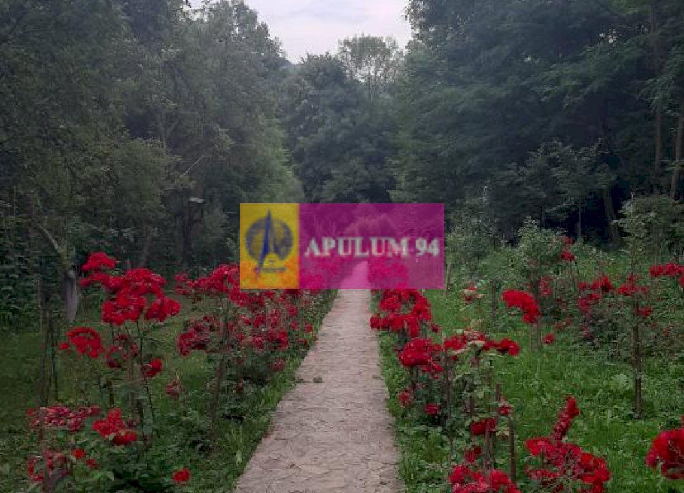 Casă de vânzare în Provița de Jos