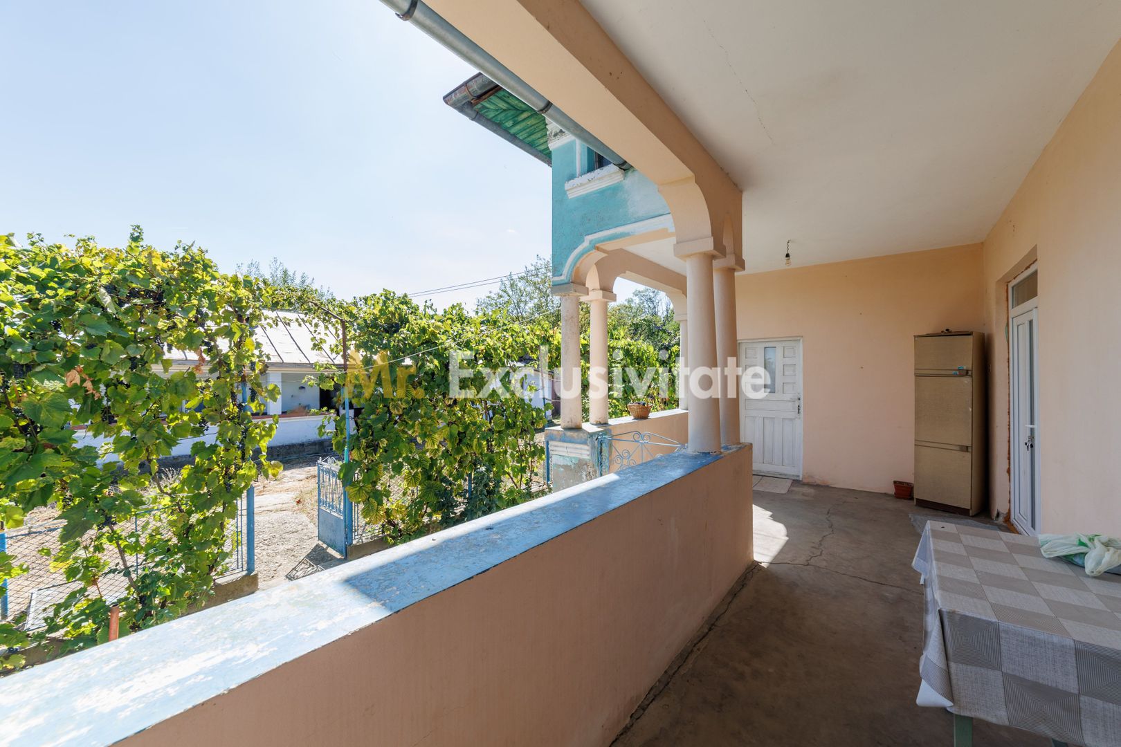 CASA SI GOSPODARIE DE VANZARE – SPINENI, OLT | 4.000 MP TEREN - imaginea 2