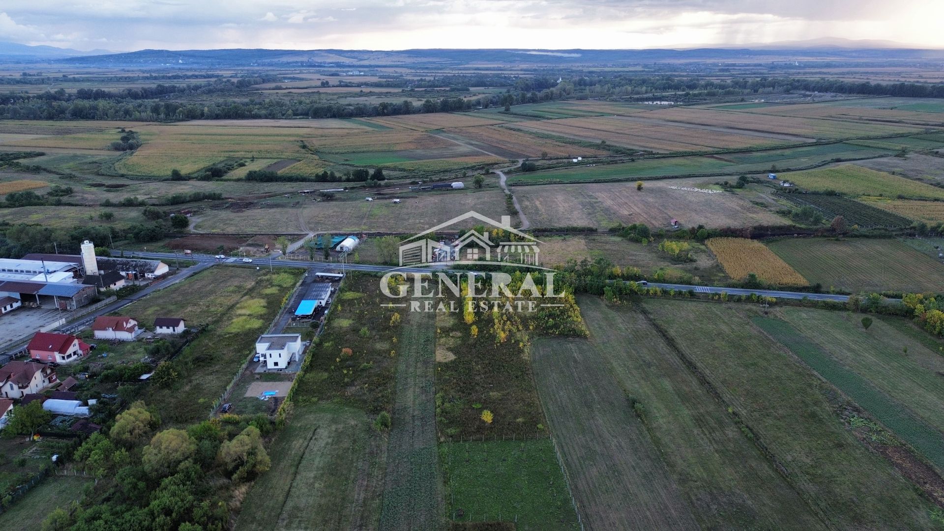 Teren de vanzare 4.000m2 in Cicarlau la Drum European E58 BM-SM KM-15 - imaginea 8