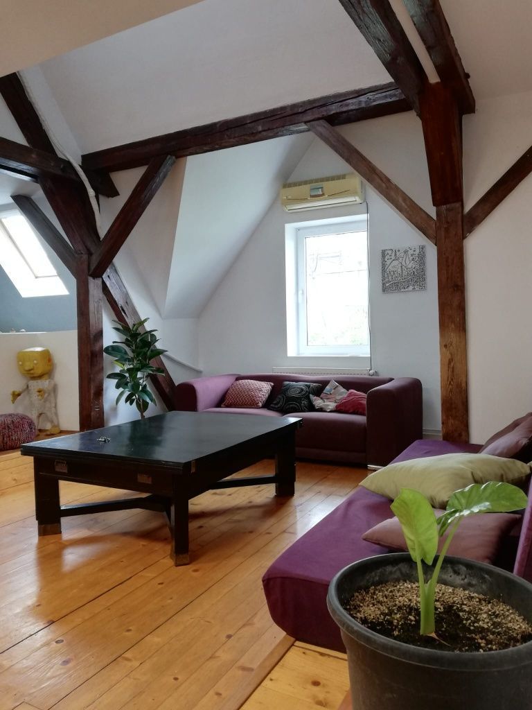 Apartament 4 camere | 175 mp | Bulevardul Victor Babeș | Ideal pentru