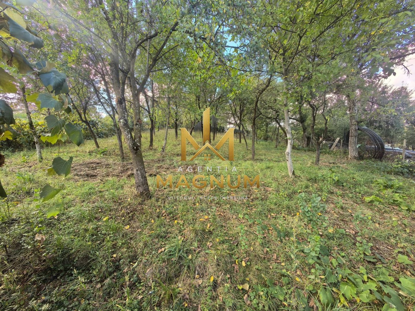 Casă de vânzare sau Schimb cu Apartament - imaginea 8