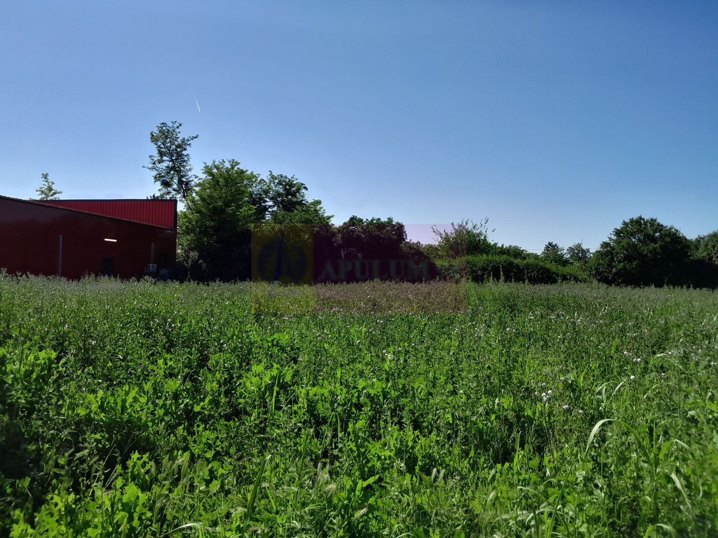 Movilita (IL)-teren de inch. 1800 mp stradal, 30 ml desch, langa Profi