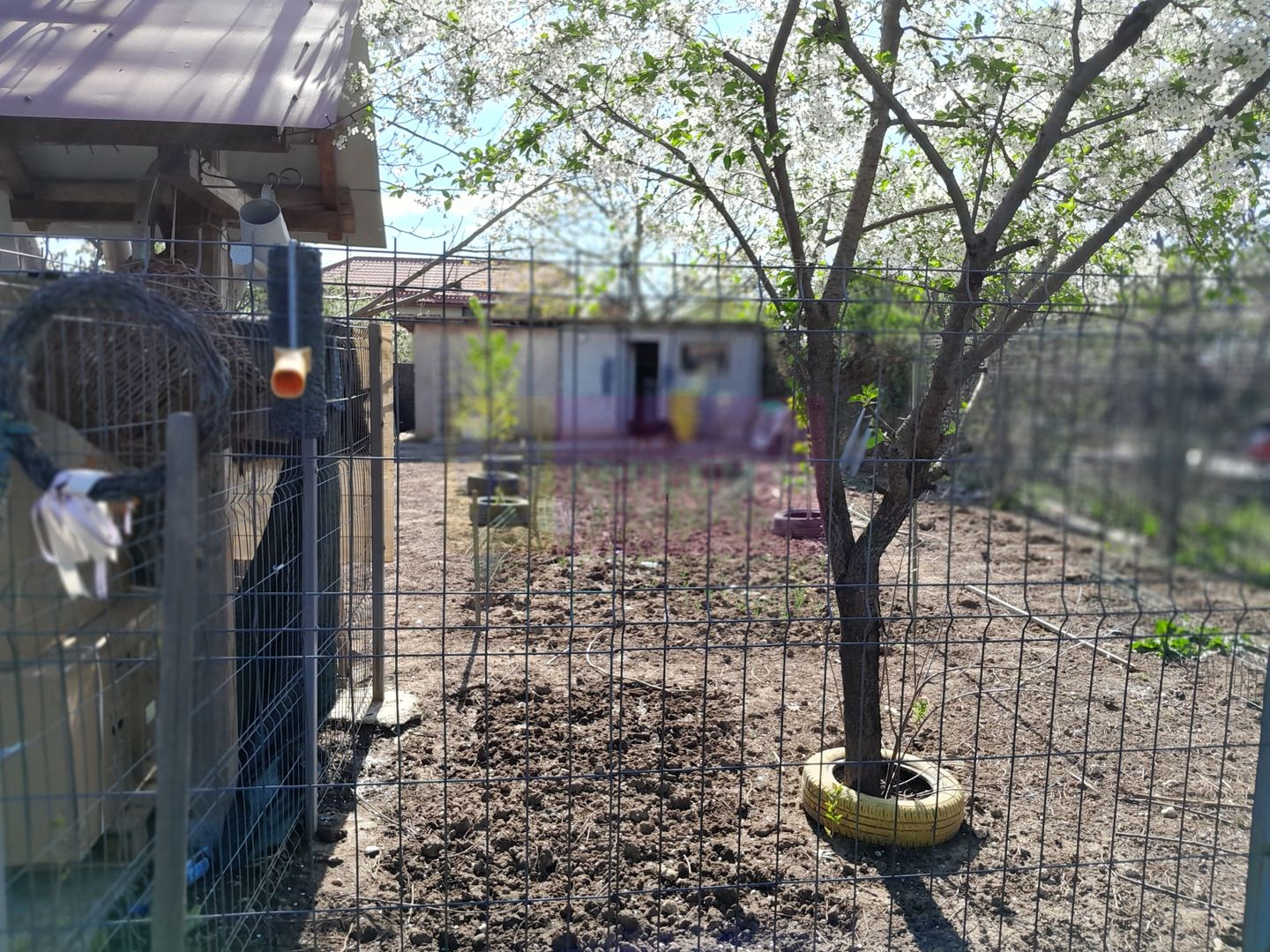 DE VANARE CASA P+M 5 CAM  GIURGIU