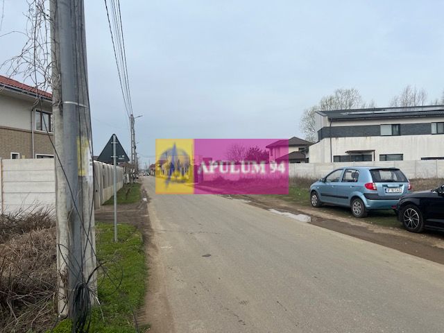 Teren Domnesti- Drumul Targului.