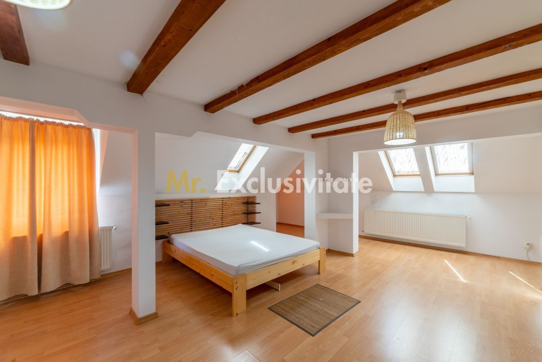 Apartament pe 2 nivele -  6 camere Gavana 3 + 309 mp curte proprie - imaginea 7