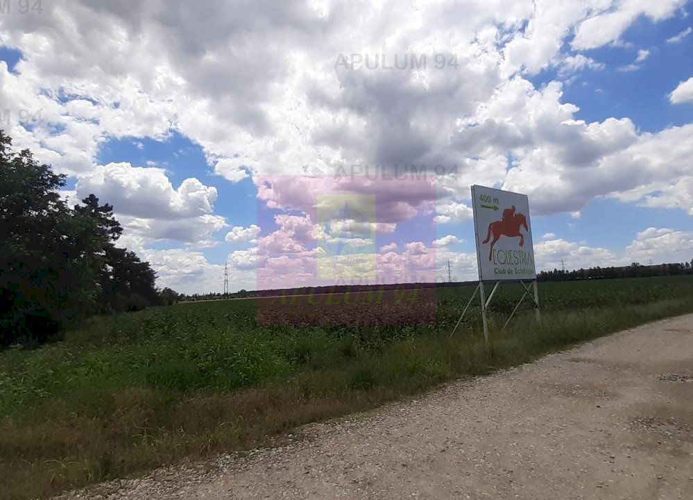Teren 715mp în Snagov lângă Equestria - imaginea 14