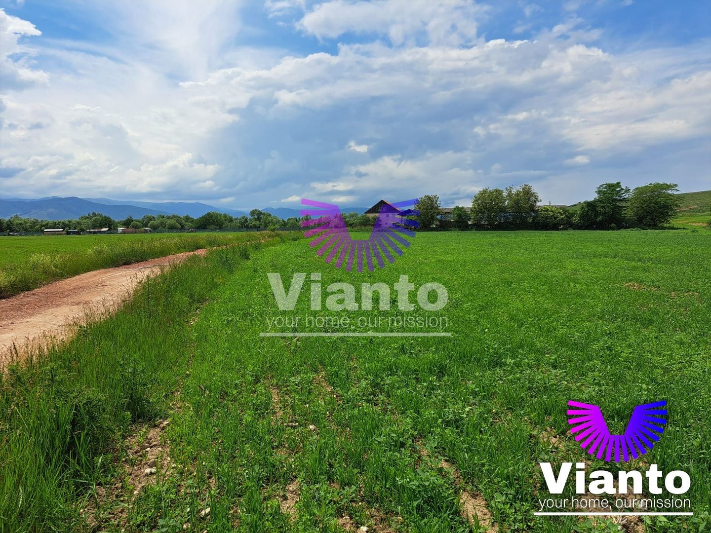 Teren Extravilan 500mp-Zona Turnisor