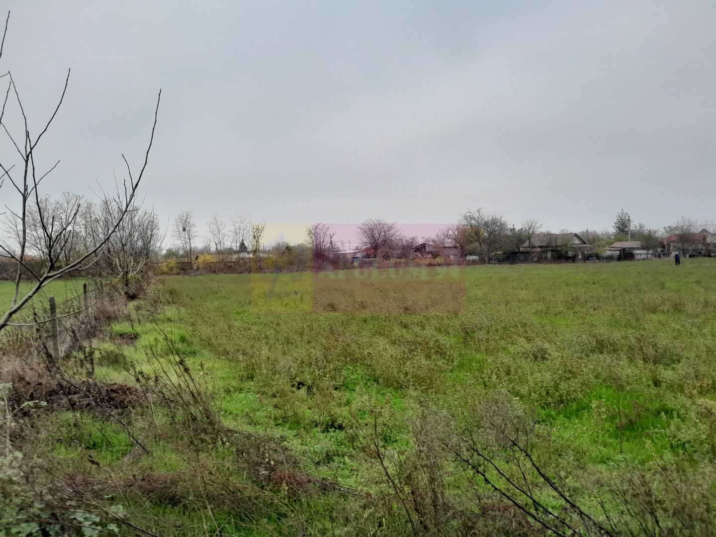 De vanzare casa +teren 16k mp in BARCANESTI / IL