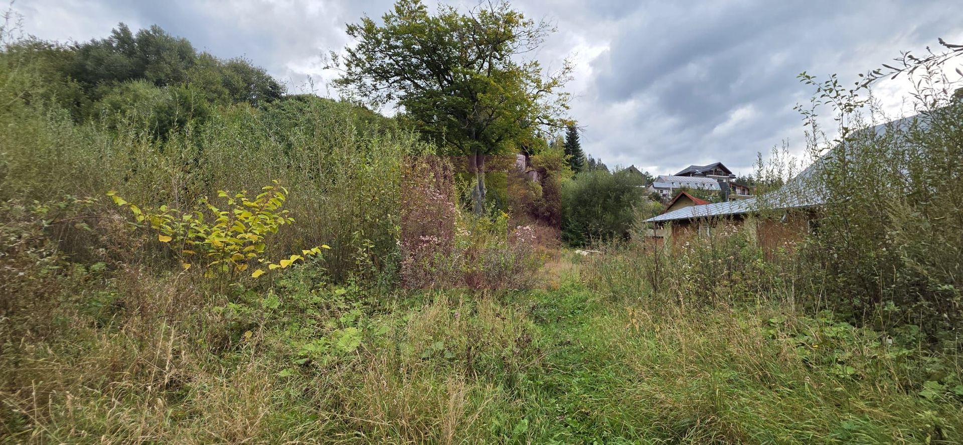 Cabana de vânzare în Bușteni – vedere spre Caraiman și 650 mp de teren - imaginea 5