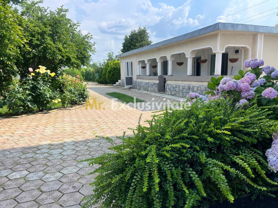 Casa visurilor cu 4000 mp livada roditoare si gradina Darmanesti-Arges - imaginea 2