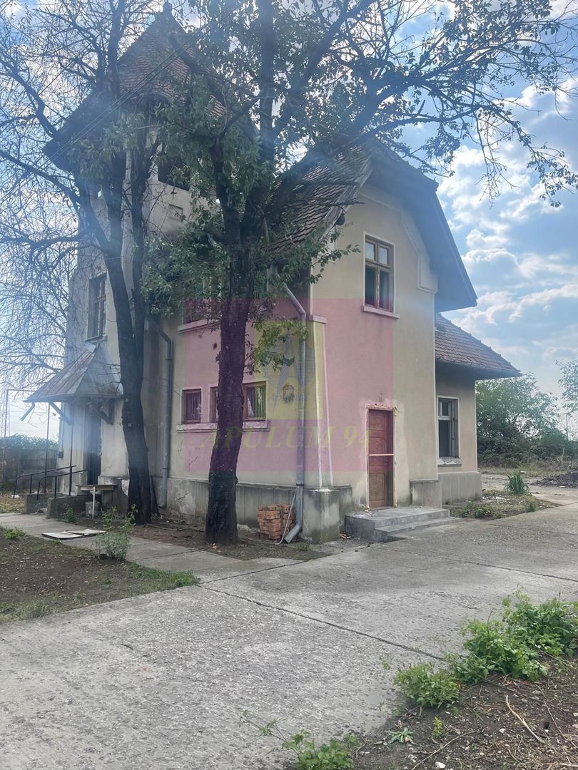 Casa de vanzare (vad comercial)