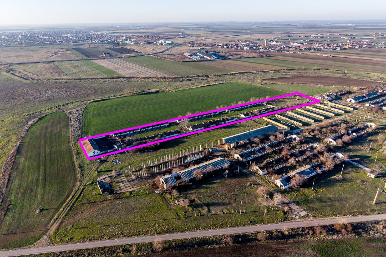 NĂDLAC | Teren 1.15 HA lângă Autostradă | 2.500mp Hale