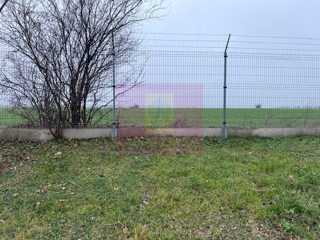 Teren Domnesti- Depozit Altex, Emag.