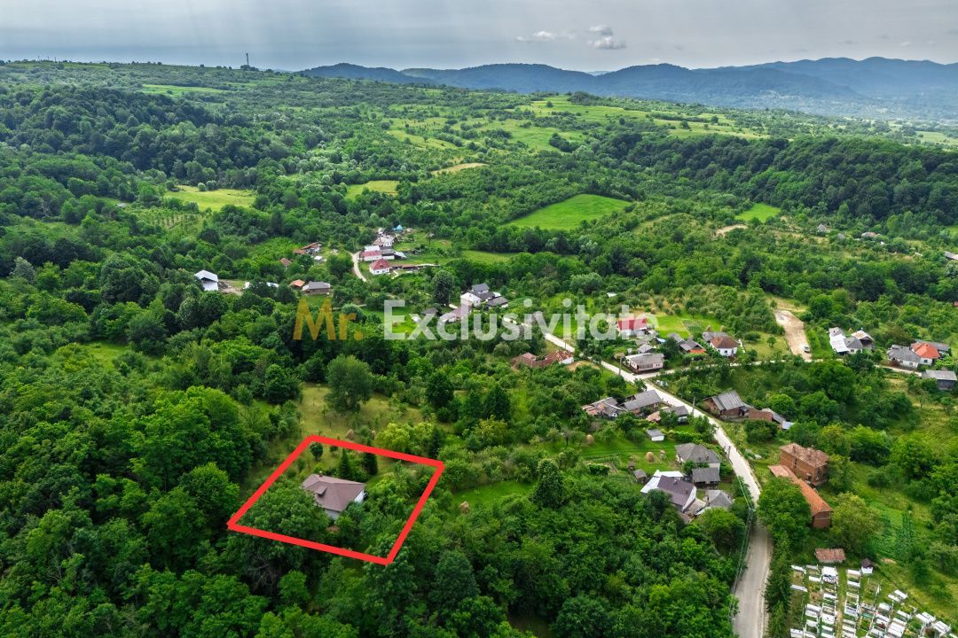 Casa moderna si casa bunicii + 6300 mp teren,Oaza autentica in Corbi Arges- - imaginea 24