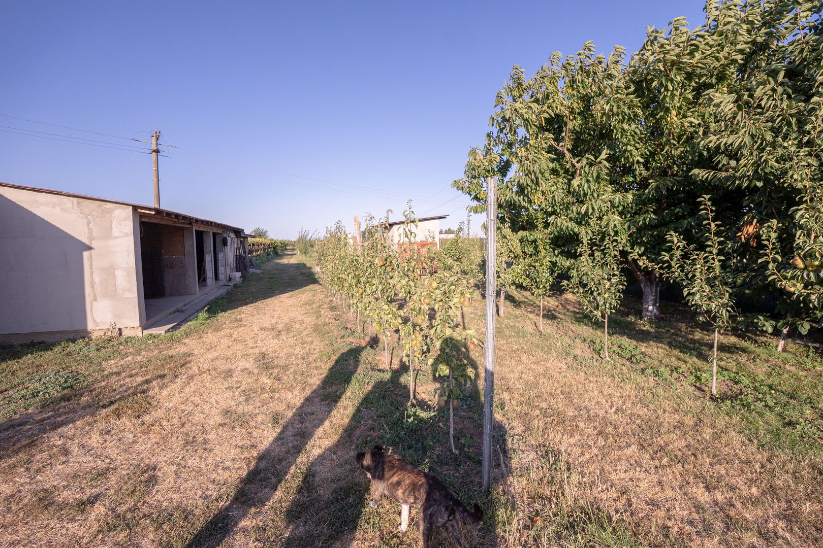 Casă de vânzare Furceni – 7 camere, teren 8.000 m - imaginea 31