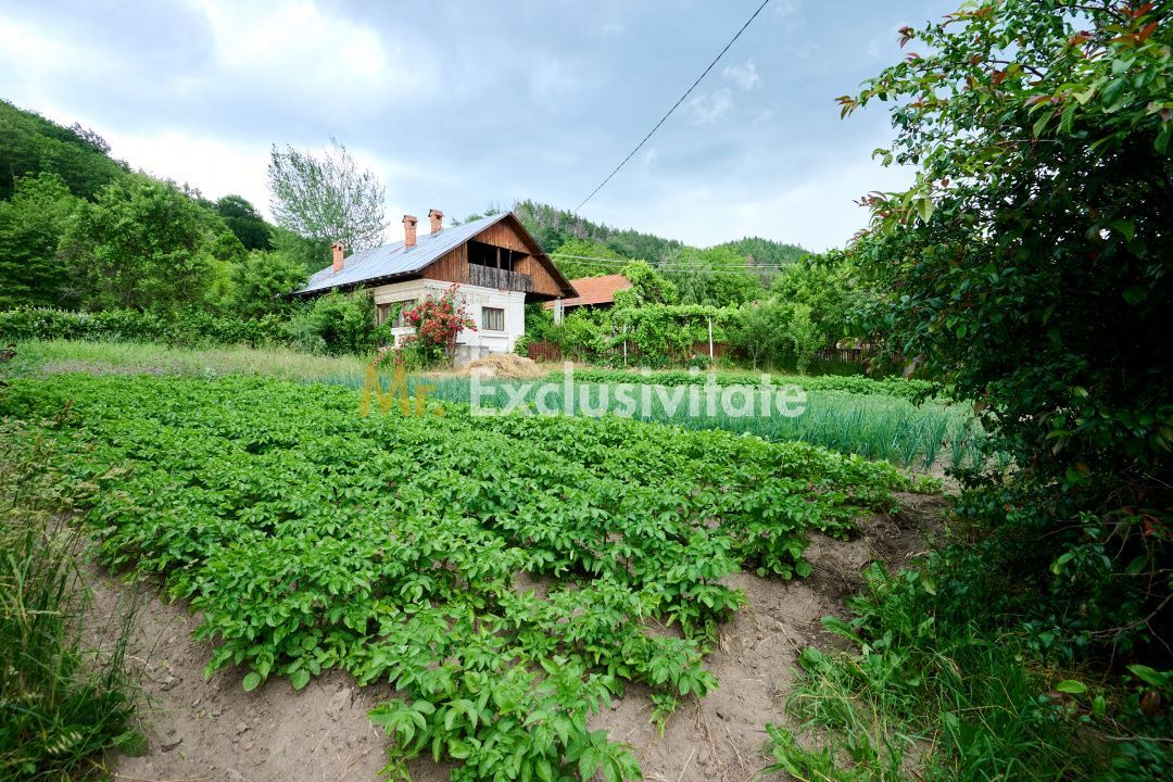 Casa cu teren generos - 4696 mp Apa Sarata - Campulung !! - imaginea 9