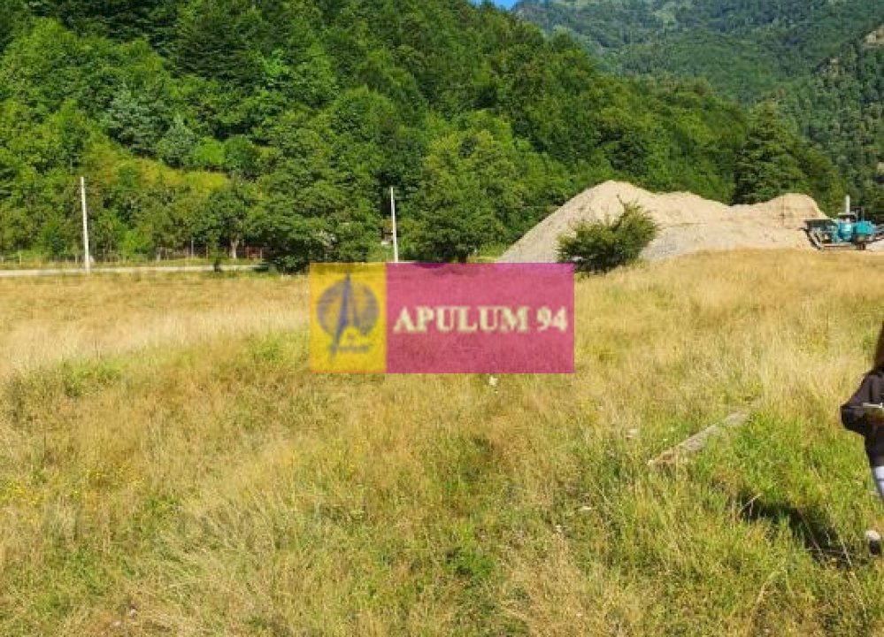Teren Județul Vâlcea - Brezoi, Valea lui Stan