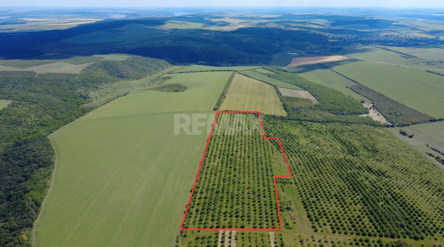 Teren Agricol, 11 HA, Bulăiești, Orhei