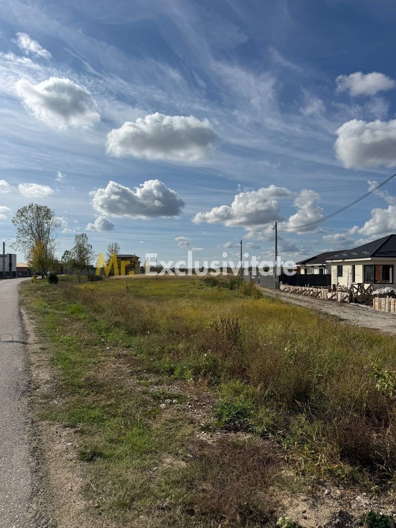 TEREN INTRAVILAN 3 LOTURI | 1.334 MP | BRADU | POTENȚIAL INVESTIȚIONAL - imaginea 2