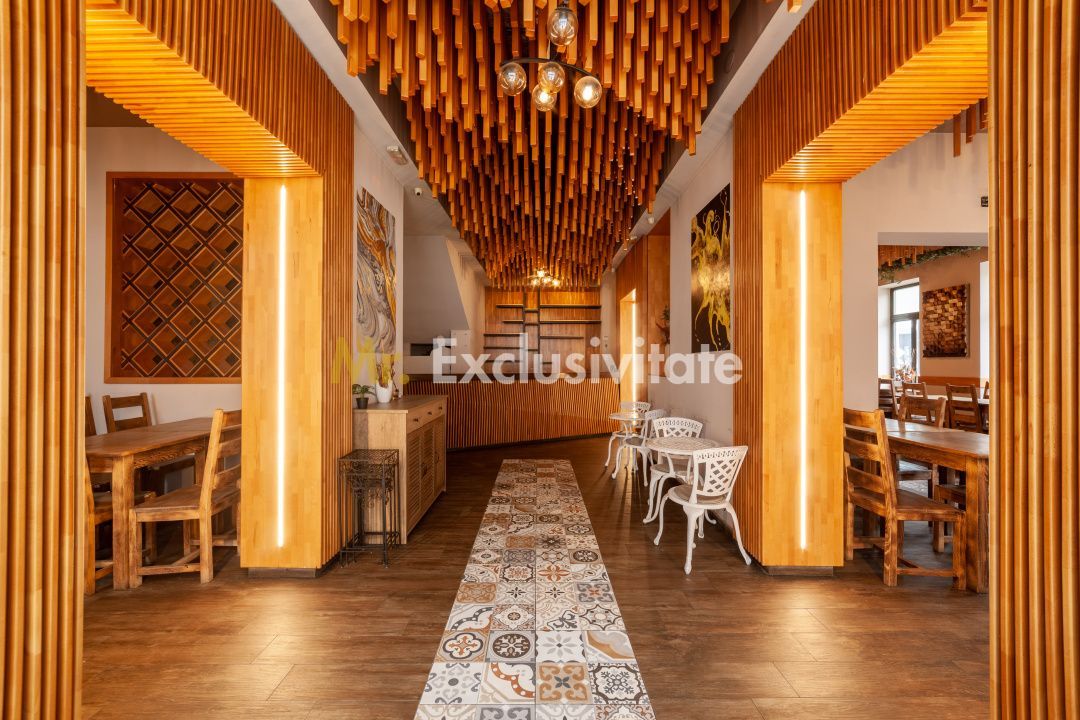 Spatiu comercial premium in vila – Bd. Republicii, Pitesti - imaginea 3