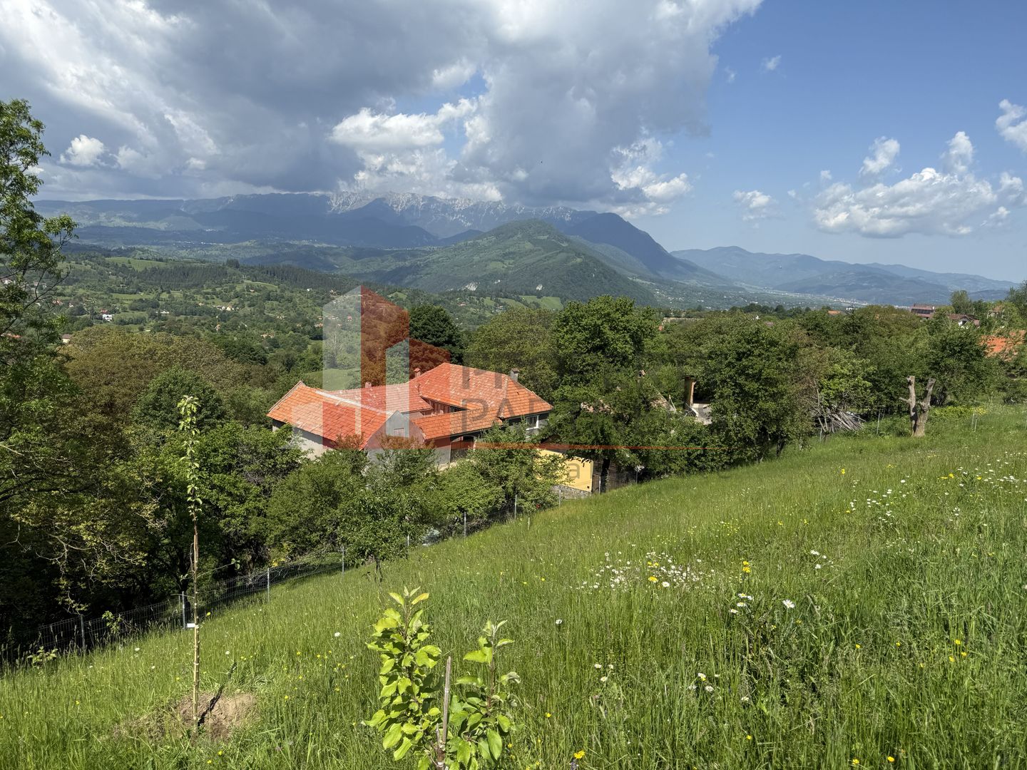 Teren cu priveliște spectaculoasă în Bran – Sohodol - imaginea 14