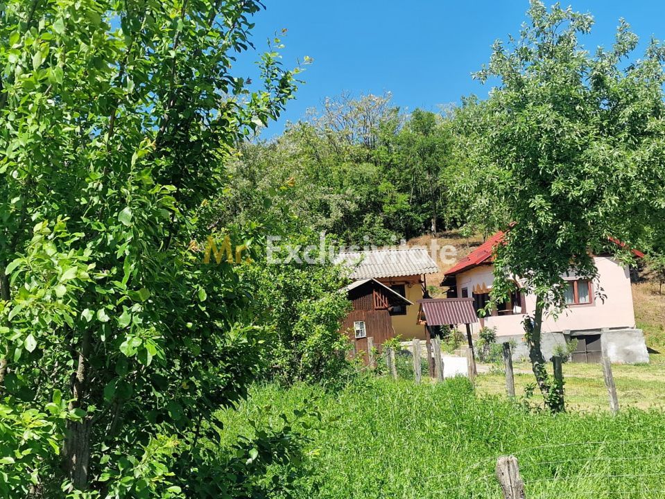 Proprietate în Comuna Botești, Județul Argeș – Zonă Pitorească și Liniștită ! - imaginea 3