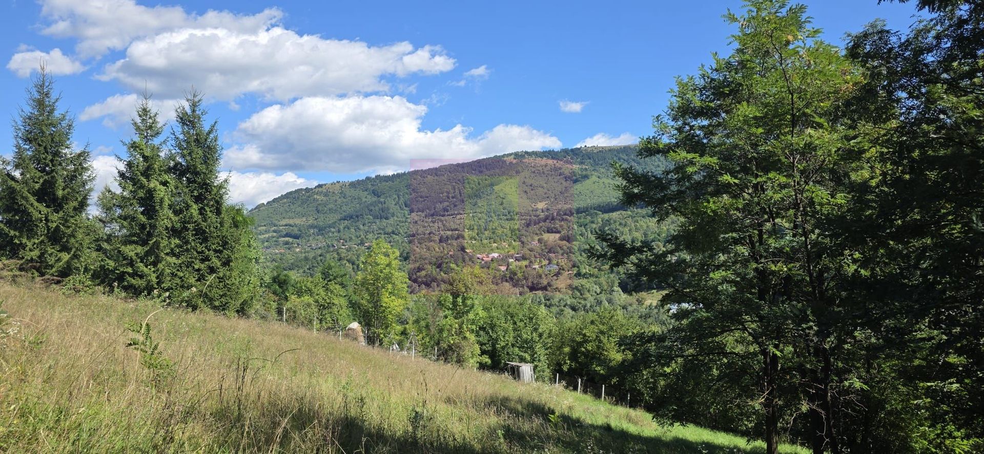 Teren intravilan 1825 mp de vanzare in Valea Doftanei - imaginea 2