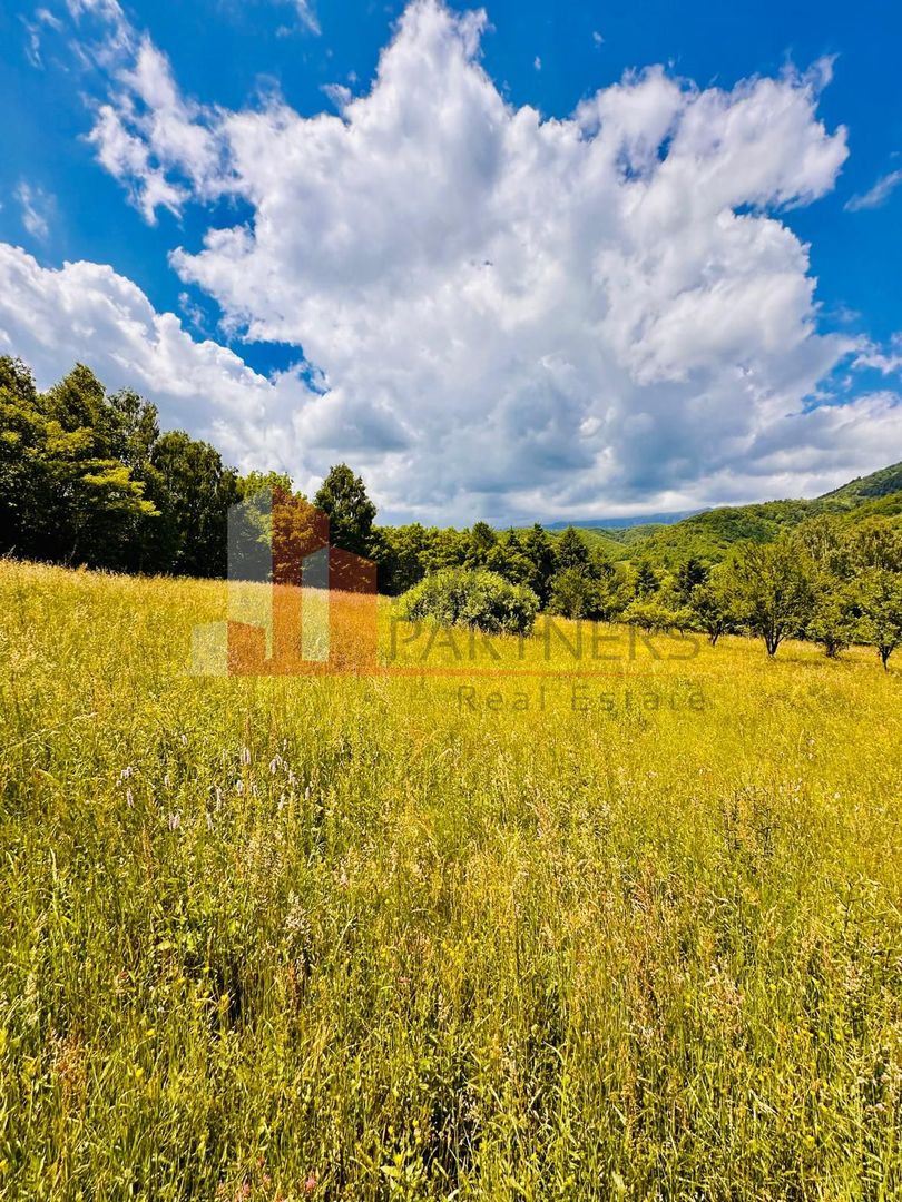 Teren intravilan Bran 2.772 mp | Vedere Piatra Craiului | Potrivit pentru cabane - imaginea 11