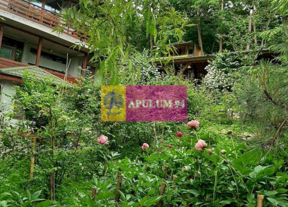 Casă de vânzare în Provița de Jos