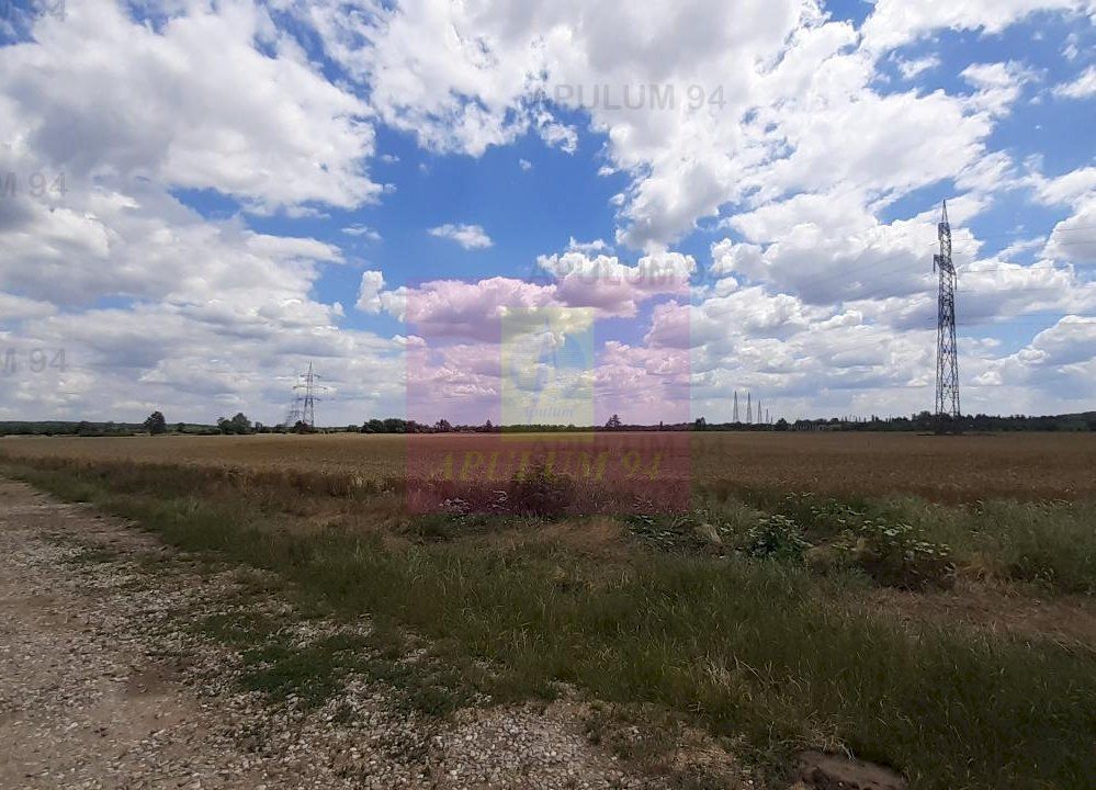 Teren 715mp în Snagov lângă Equestria - imaginea 23