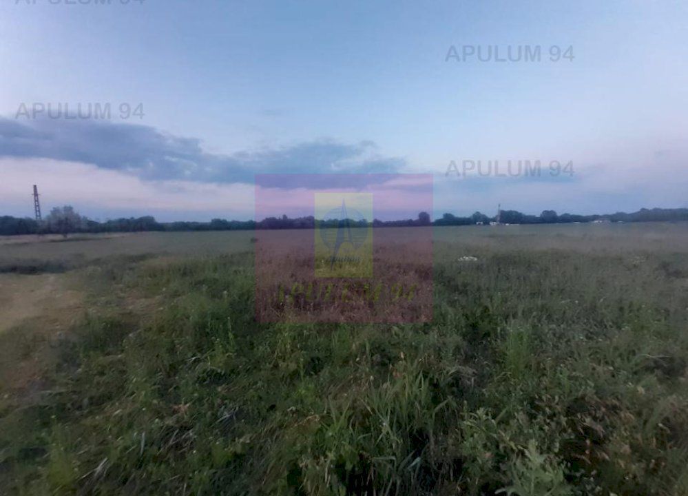 Teren aproape de Bucuresti langa padure - imaginea 22