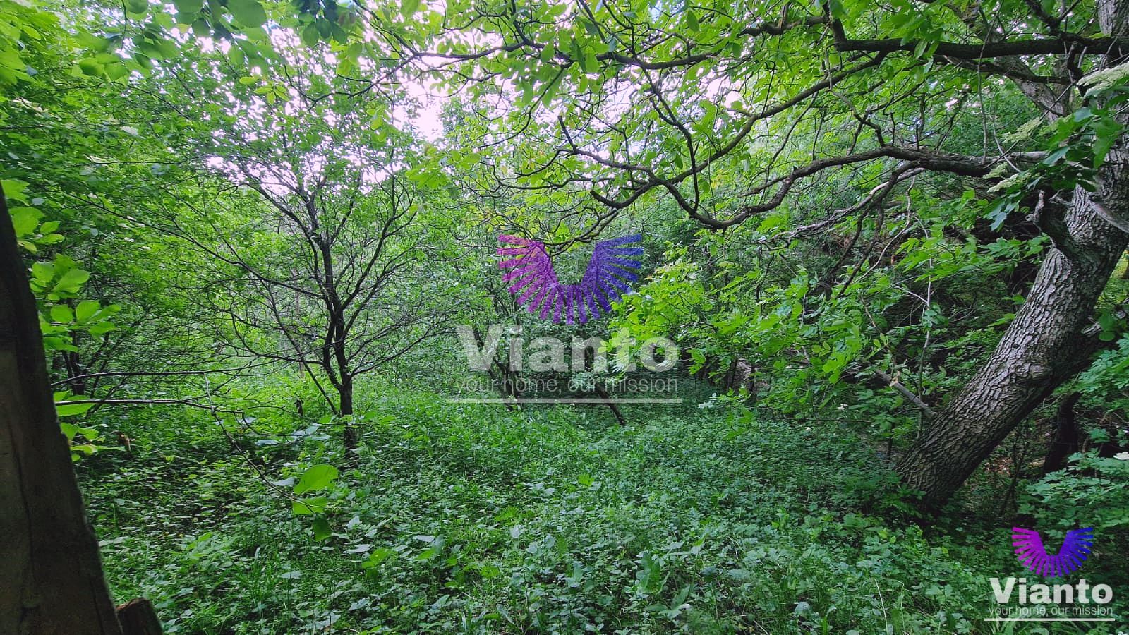 Casă în Poiana Sibiului | 909 mp teren | livadă și anexe gospodărești