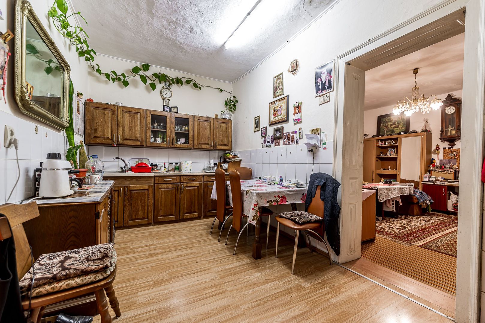 Imagine 6 - 🏡 Casă nemțească autentică în Frumușeni – Fântânele, la 20 km de Arad