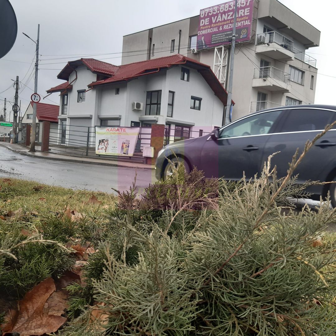Vila lângă pasaj Pallady O investiție care produce venit din prima zi! - imaginea 13