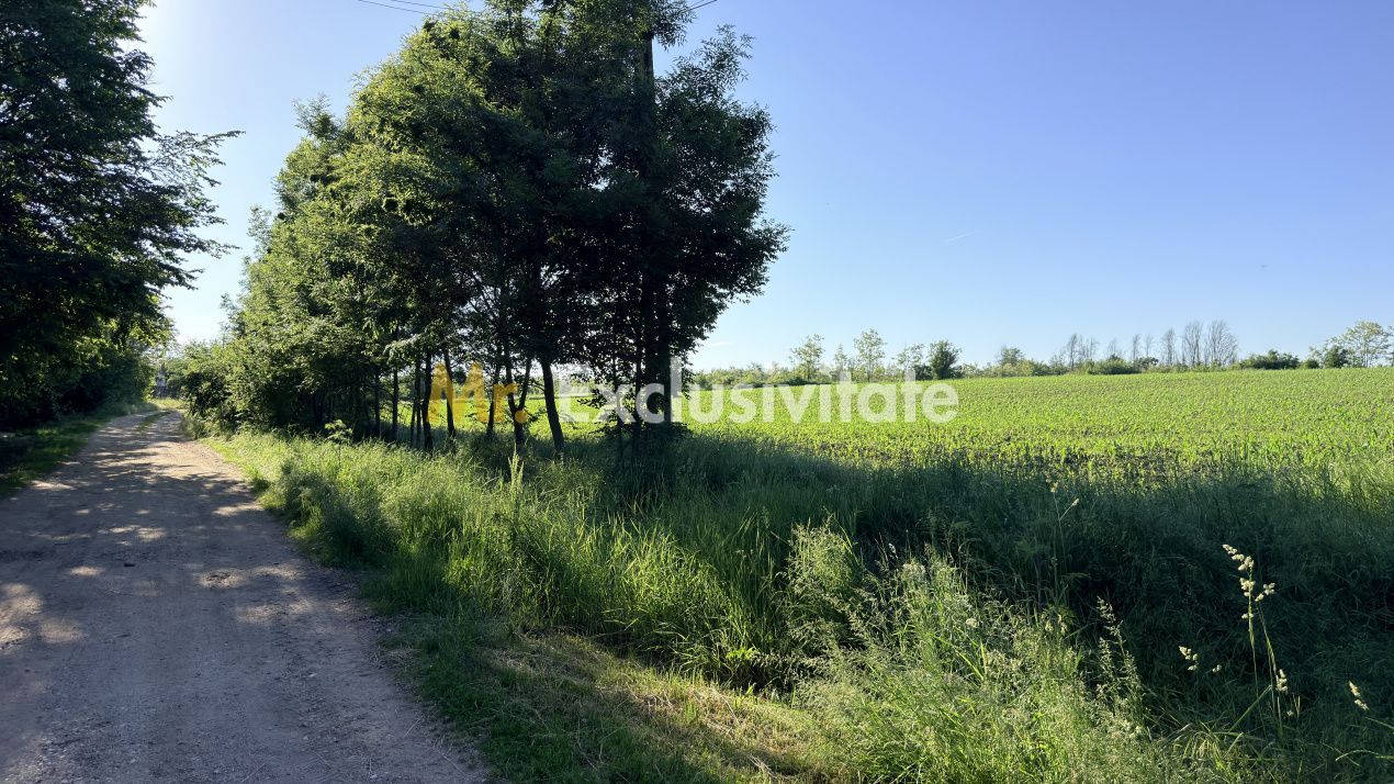 0% Comision Teren intravilan de 5830 mp - Com. Rociu jud. Arges! - imaginea 2