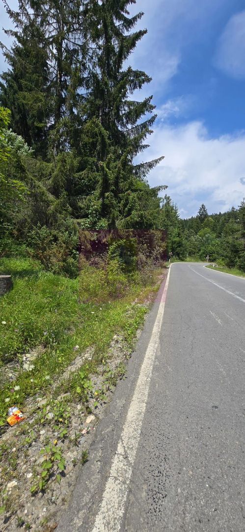 Teren de vânzare în zona Cota 1000 – Sinaia - imaginea 6