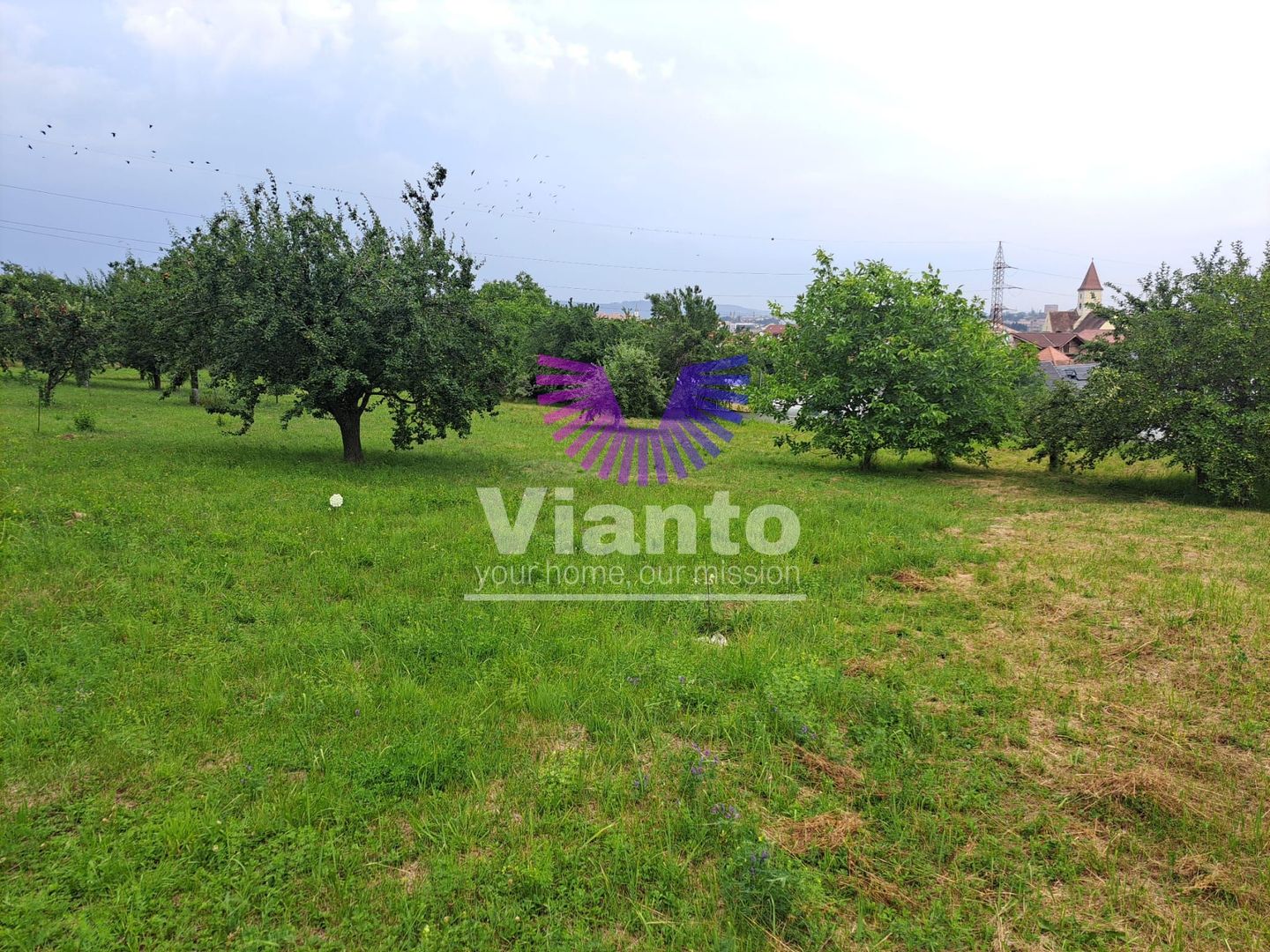 Teren intravilat| Zona rezidentila 1156 mp-TURNISOR