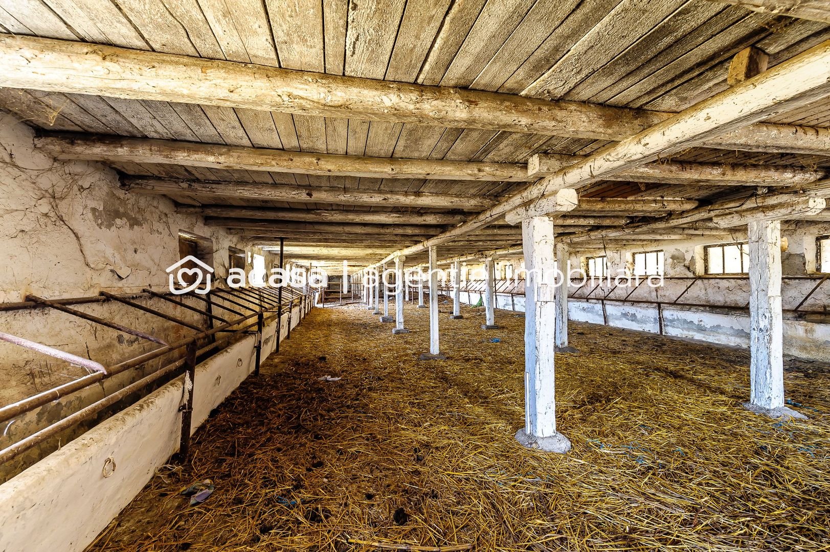 Imagine 5 - Fermă Mândruloc 2,5 ha