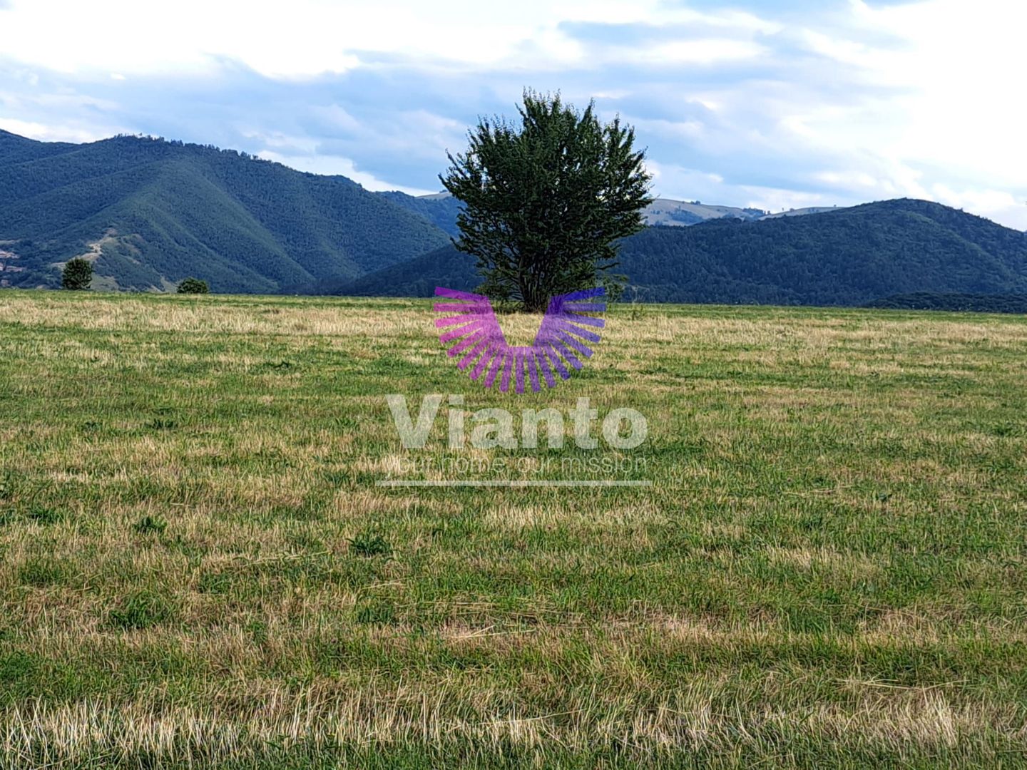 Oportunitate-Teren Extravilan 6200 mp cu vedere Panoramica-Tropinii Noi-Rasinari