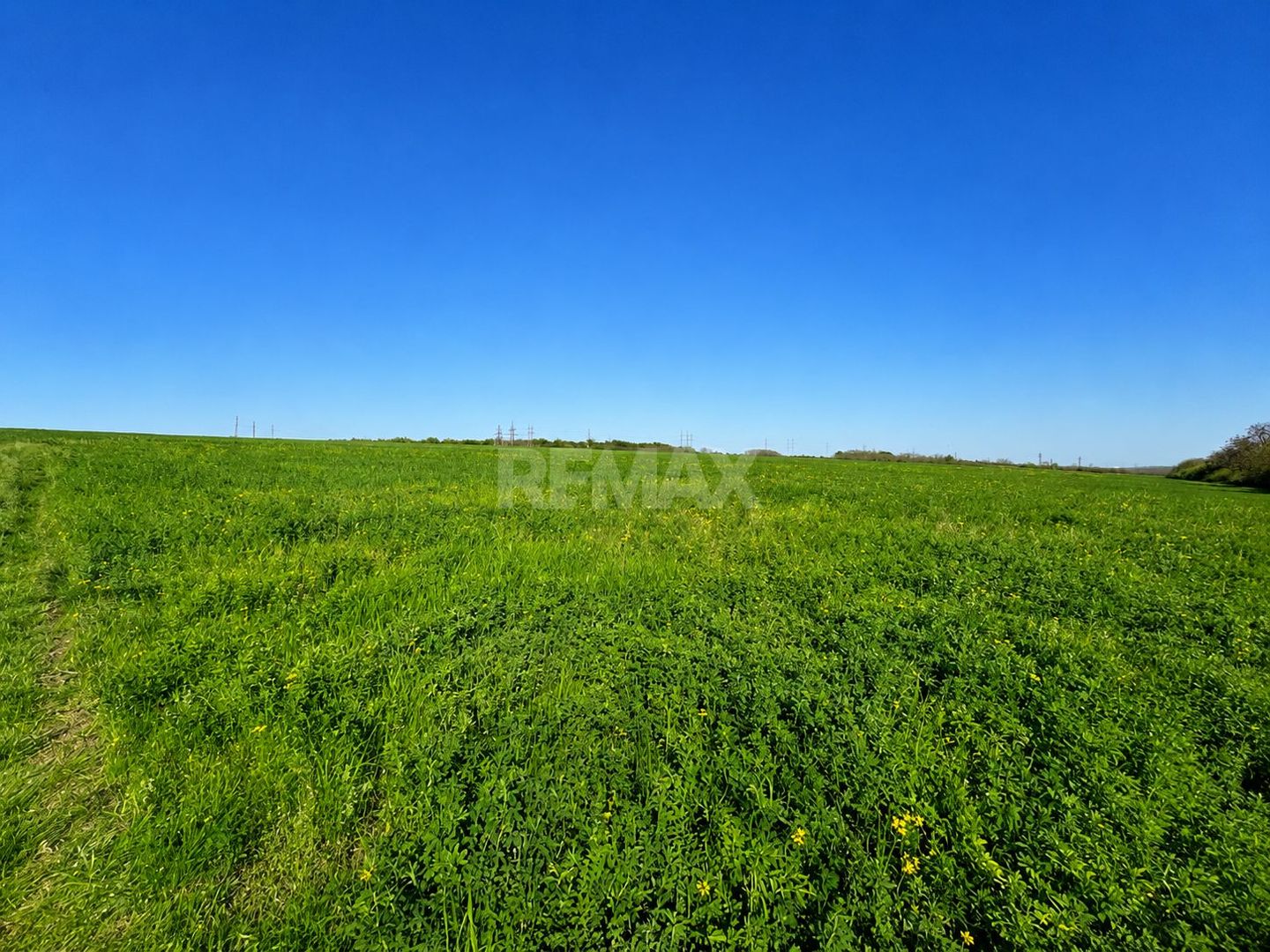 Teren agricol de 40 ari în Ghidighici – oportunitate pentru investiție sau activitate agricolă