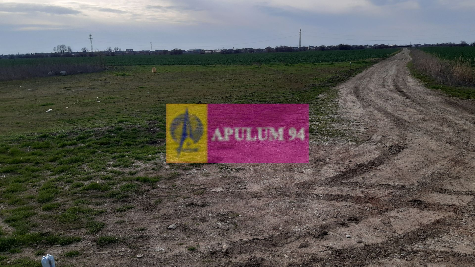 Parcelă lângă pădure în Ilfov