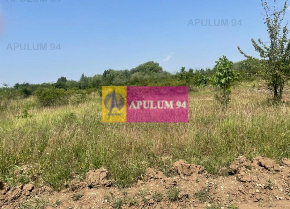 Teren Domnesti- Ciutaci.