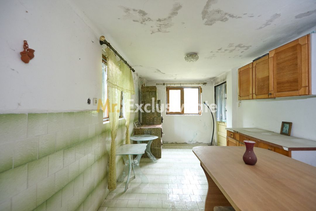 Casa cu teren generos - 4696 mp Apa Sarata - Campulung !! - imaginea 36