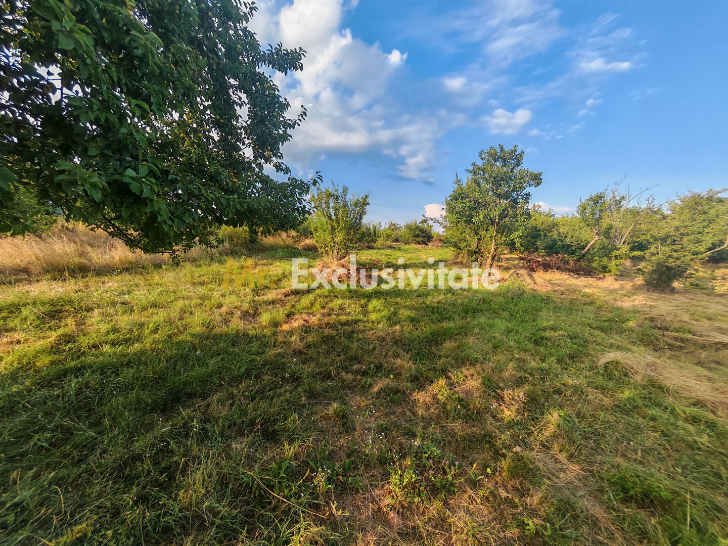 Teren intravilan 1.600 mp Mioveni – Zona Pruni - imaginea 7