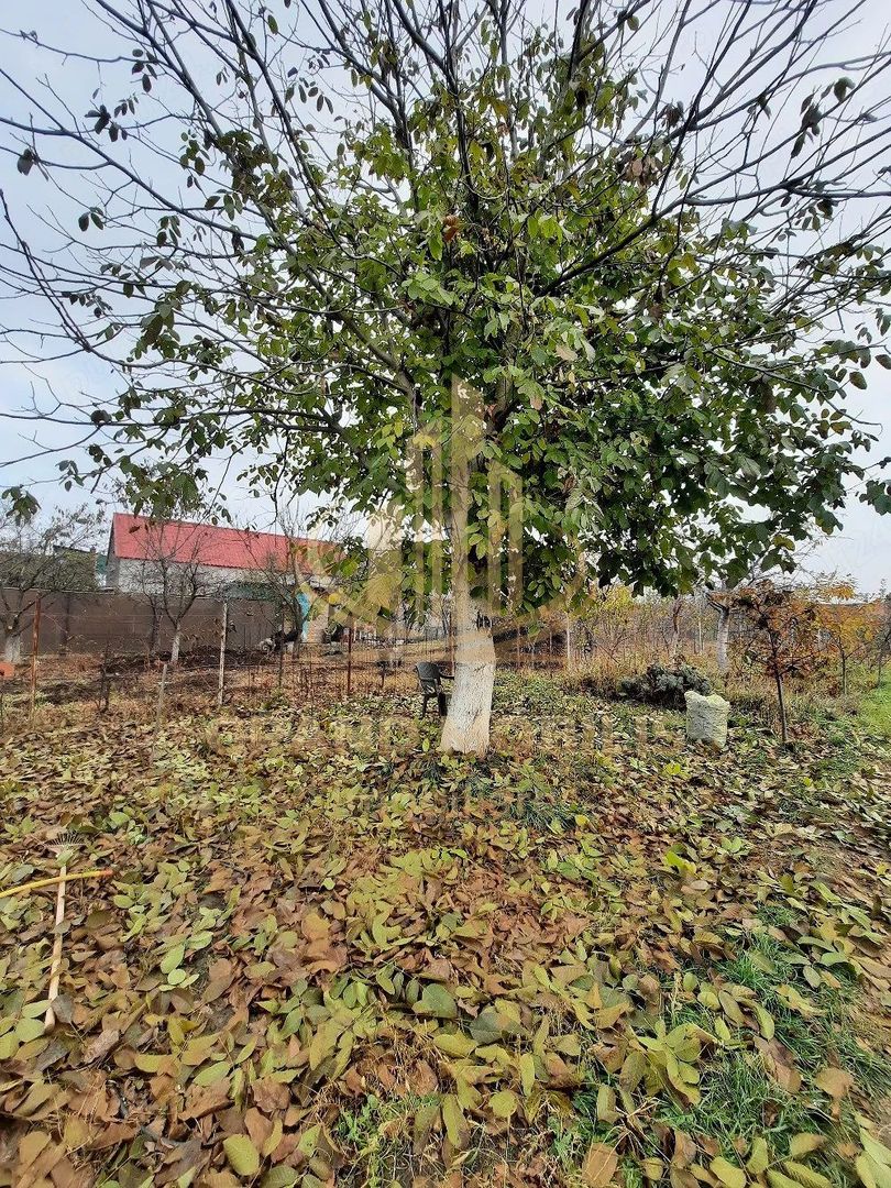 Casă individuală Plopi, 75 mp, teren 1.365 mp, 2 corpuri - imaginea 4