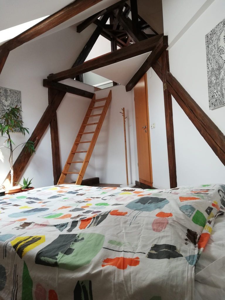 Apartament 4 camere | 175 mp | Bulevardul Victor Babeș | Ideal pentru - imaginea 4