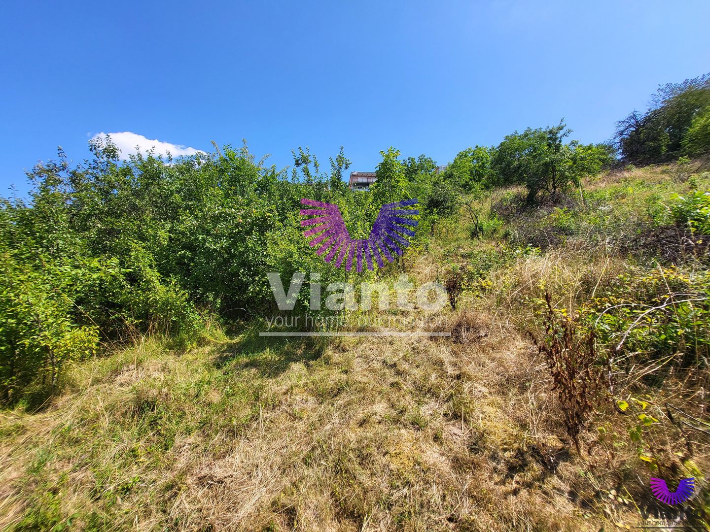 Teren Intravilan 546 mp | Panorama deosebita | PUZ in lucru