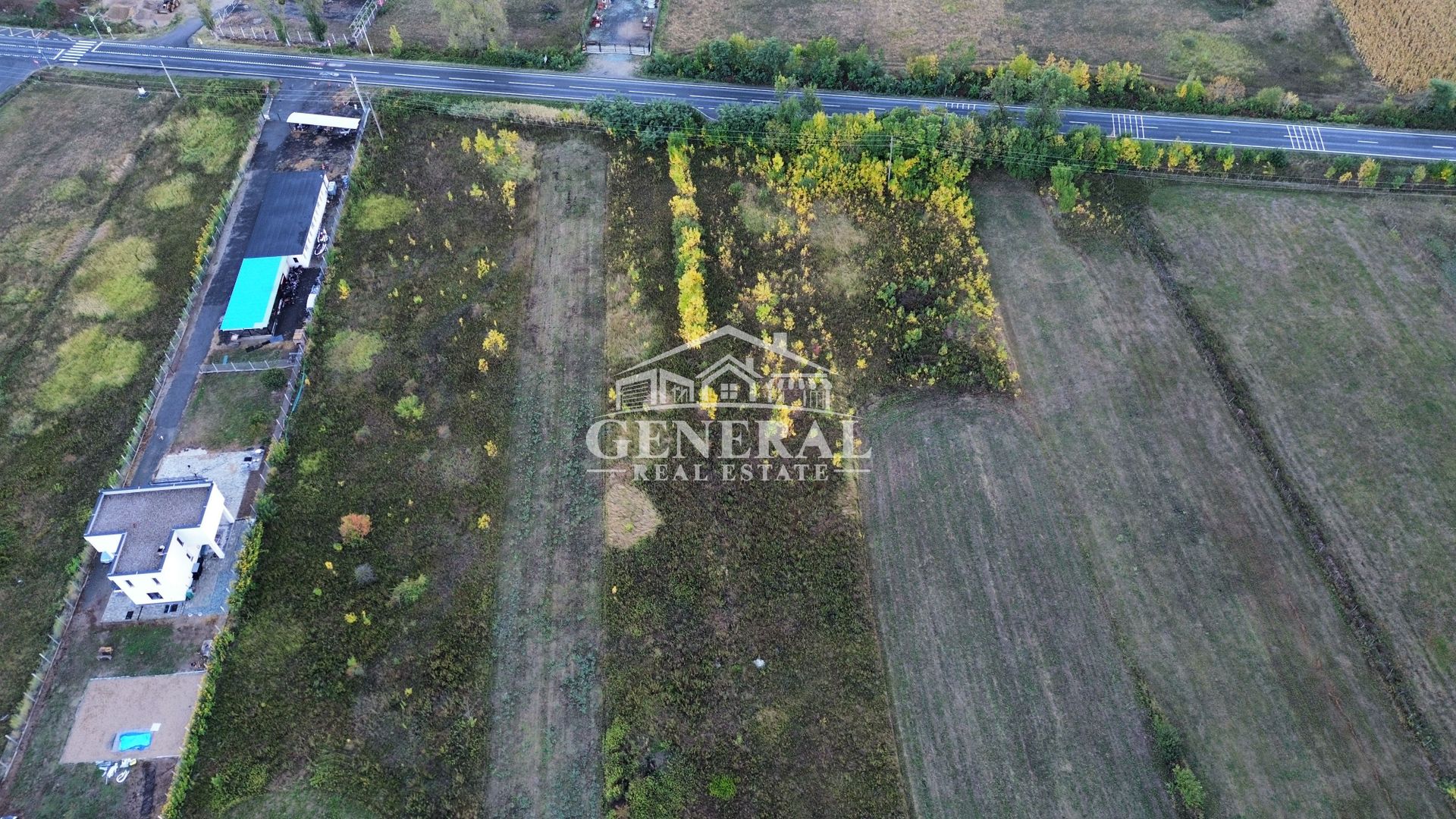 Teren de vanzare 4.000m2 in Cicarlau la Drum European E58 BM-SM KM-15 - imaginea 7