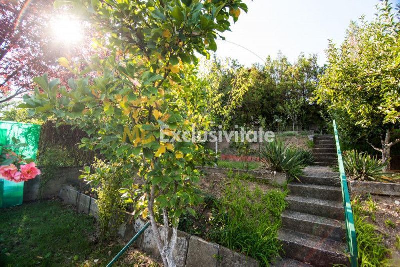 DE INCHIRIAT - Apartament in vila - 2 camere - Str. Trivale - imaginea 12